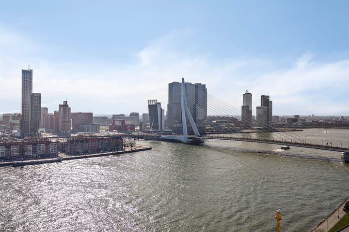 Foto 4 van Boompjes 377