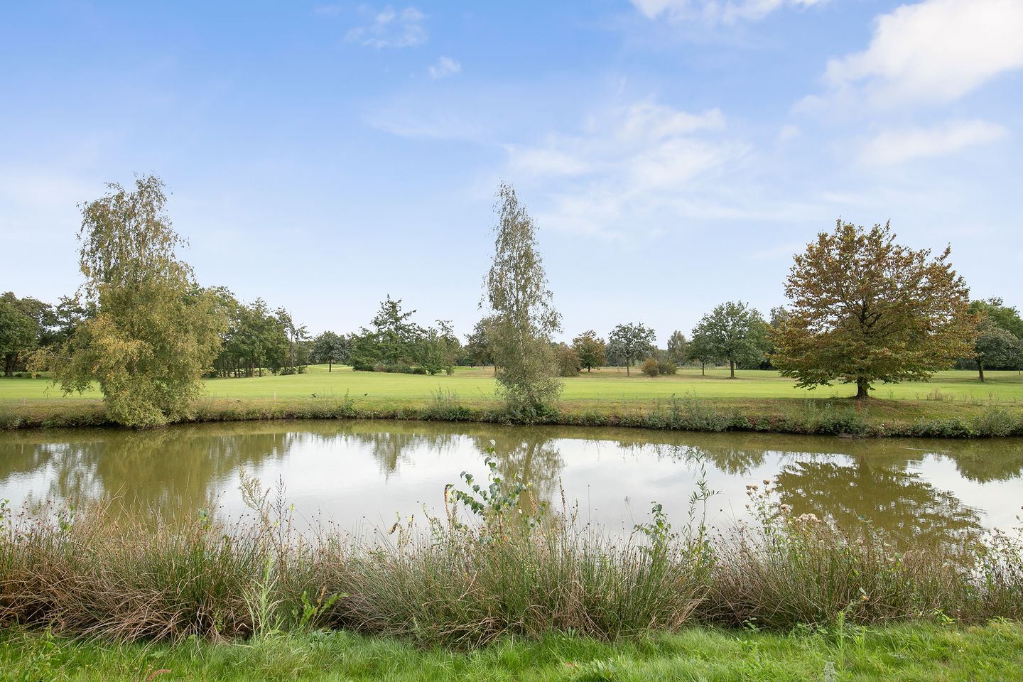 Foto 29 van Patrijslaan 5-F