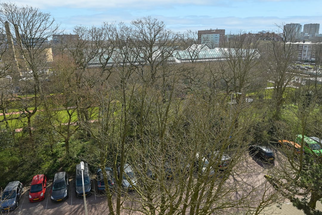 Foto 38 van Catsheuvel 113