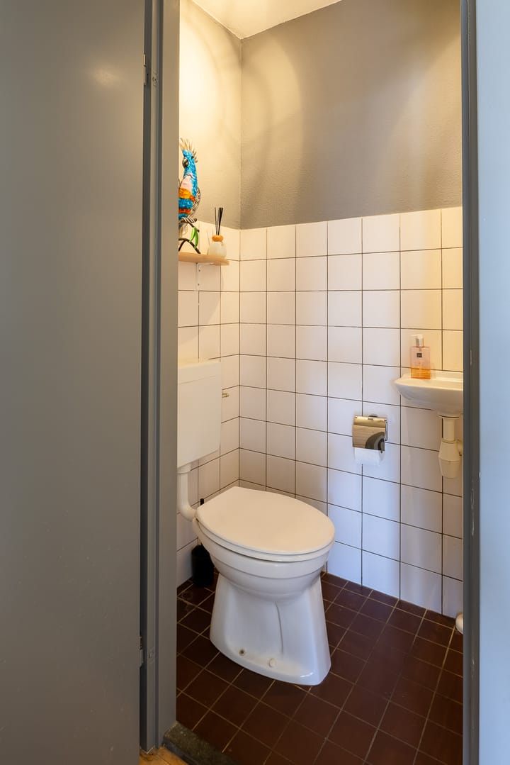 Foto 10 van Kroonkruid 23