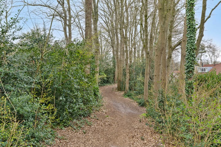 Foto 35 van Gripkeshof 43