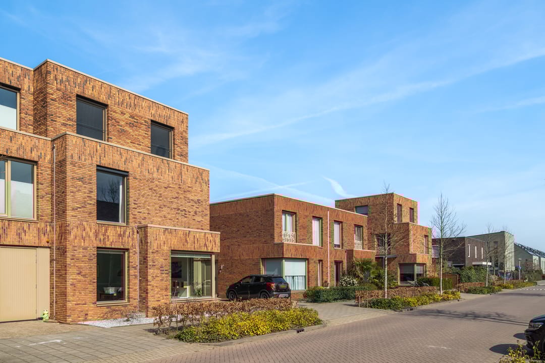 Foto 8 van Speenkruid 32