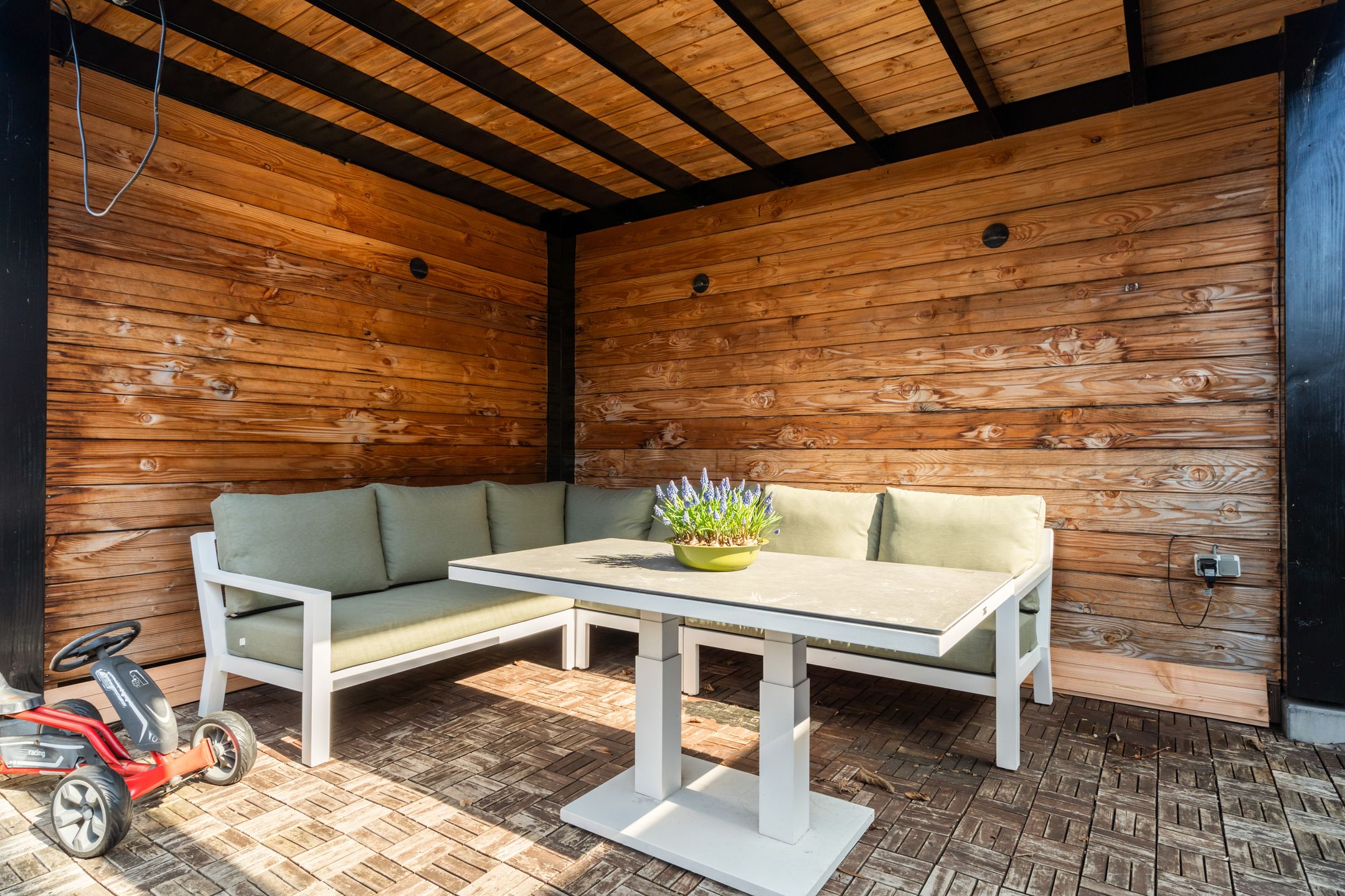 Foto 33 van Speenkruid 32