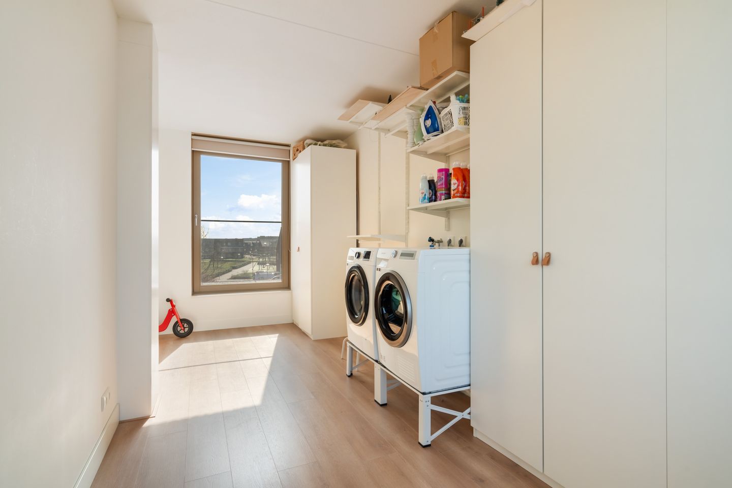 Foto 64 van Speenkruid 32