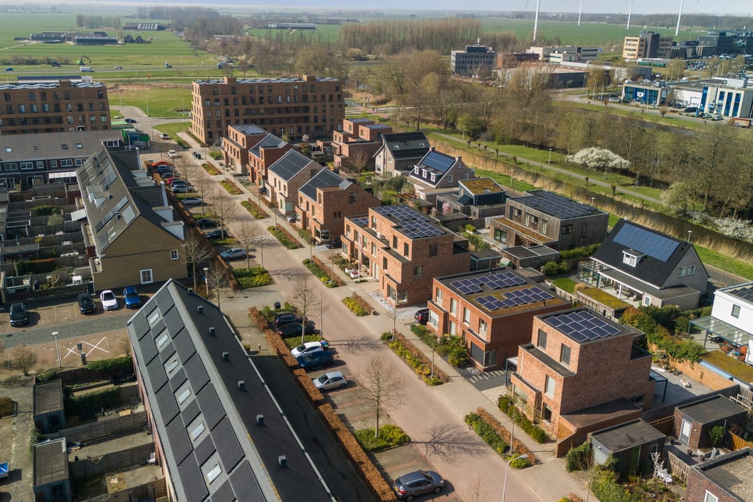 Foto 68 van Speenkruid 32