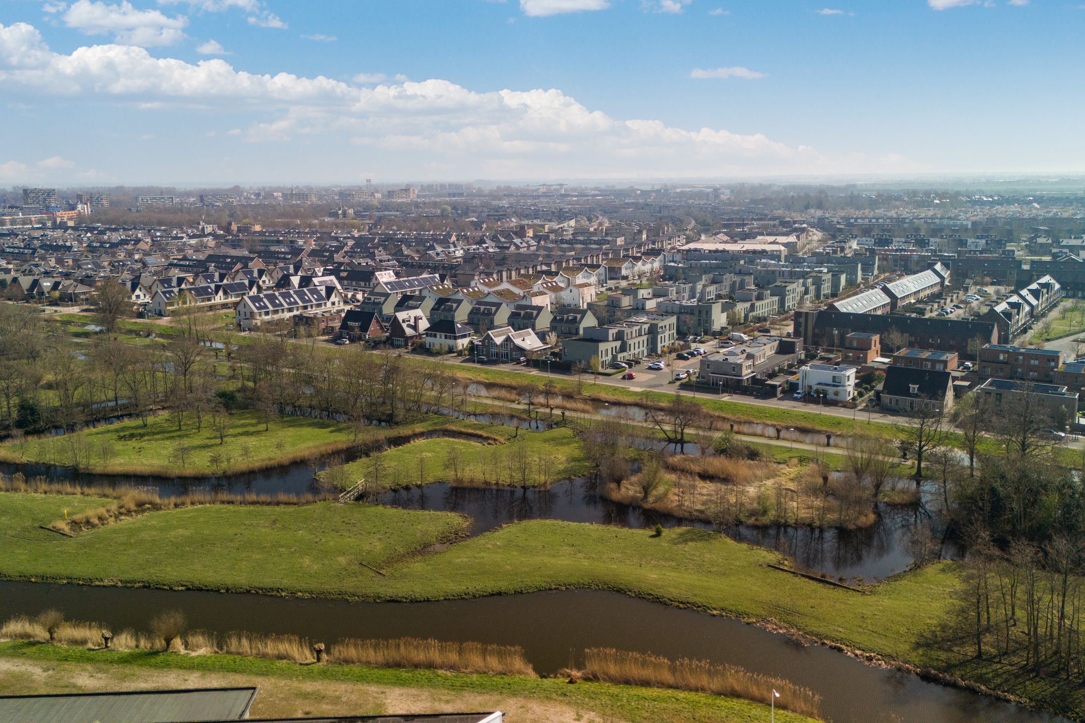 Foto 69 van Speenkruid 32