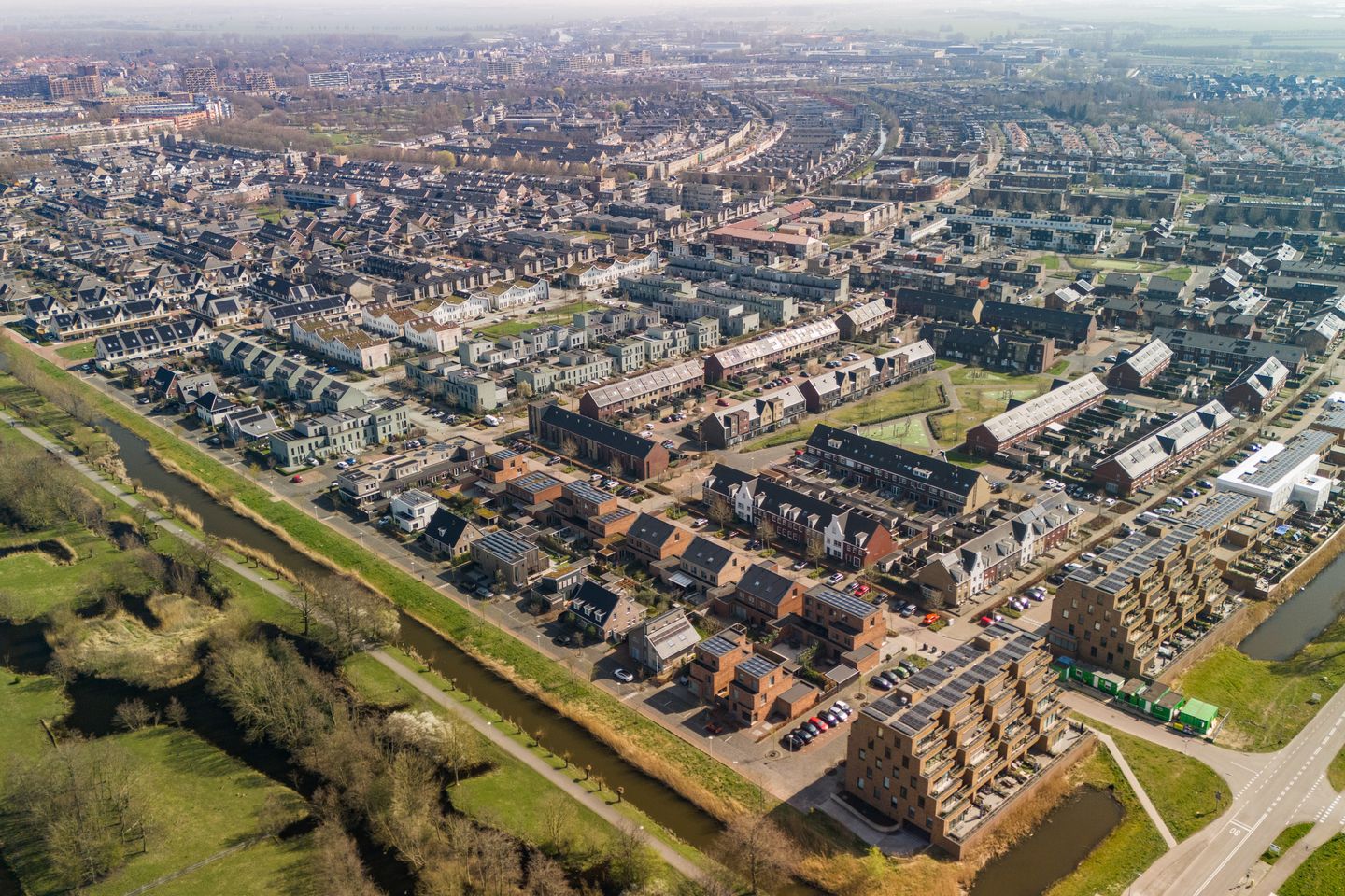 Foto 70 van Speenkruid 32