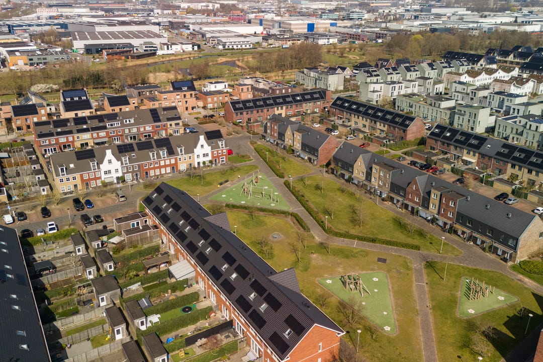 Foto 71 van Speenkruid 32