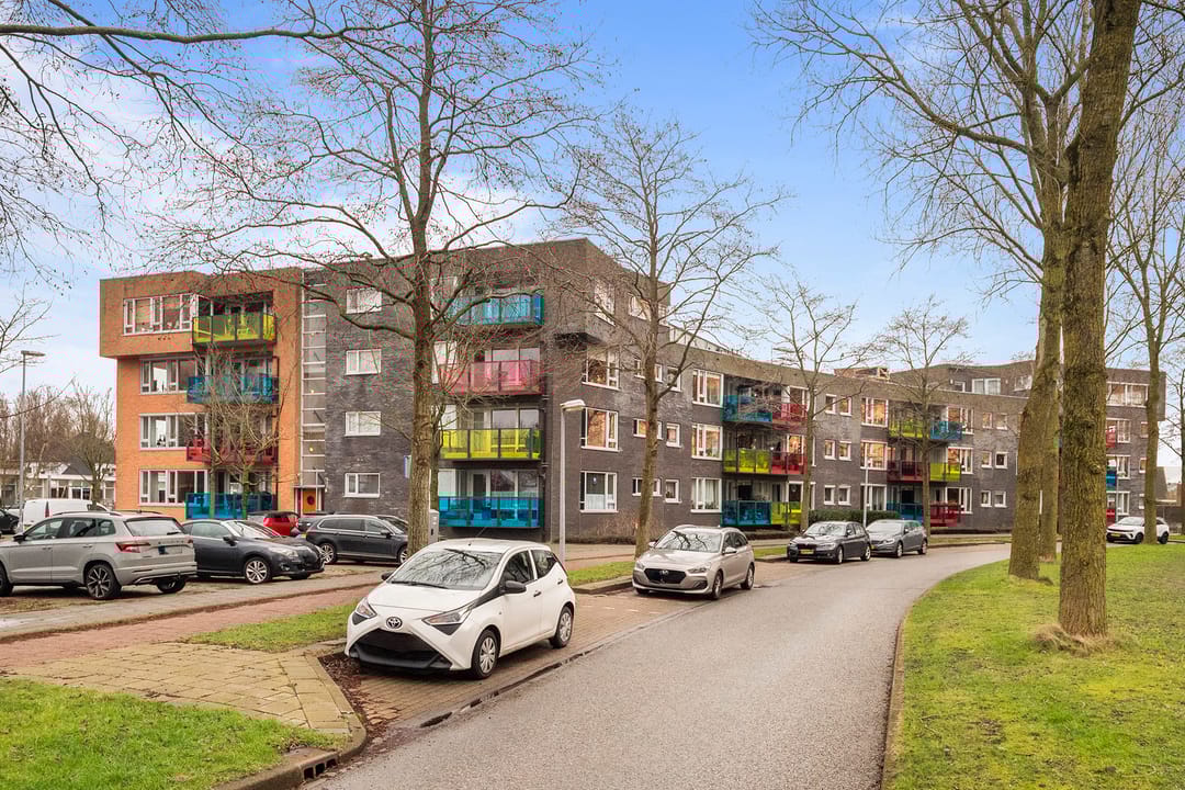 Foto 2 van Drooghe Bol 2004