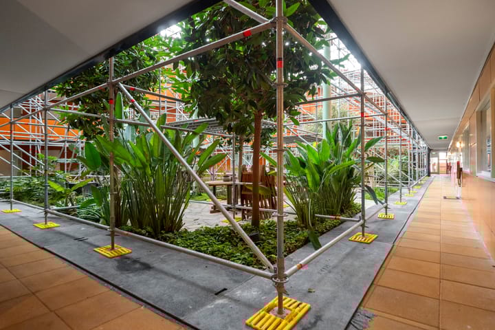 Foto 3 van Drooghe Bol 2004