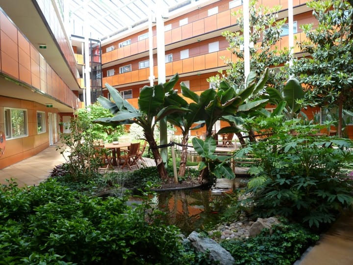 Foto 4 van Drooghe Bol 2004