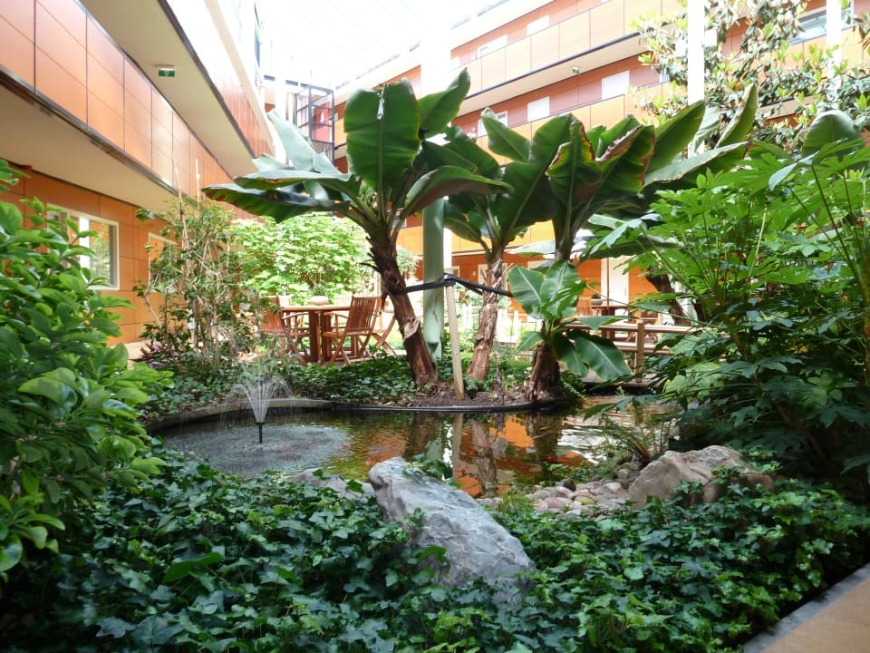 Foto 5 van Drooghe Bol 2004