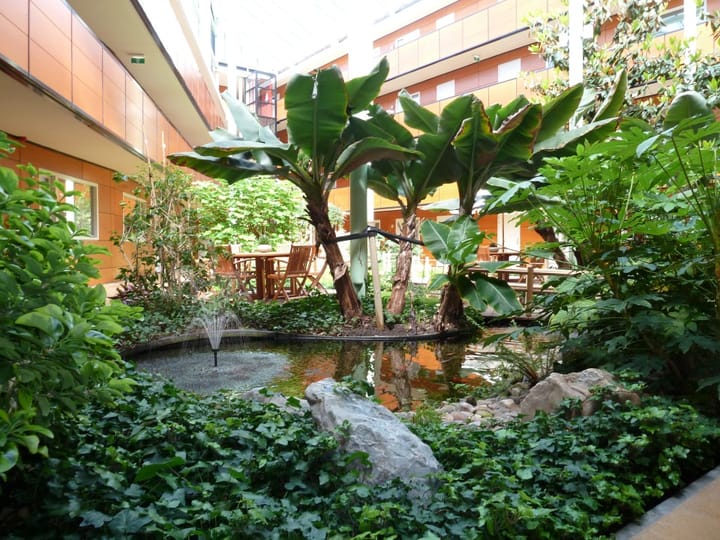 Foto 5 van Drooghe Bol 2004