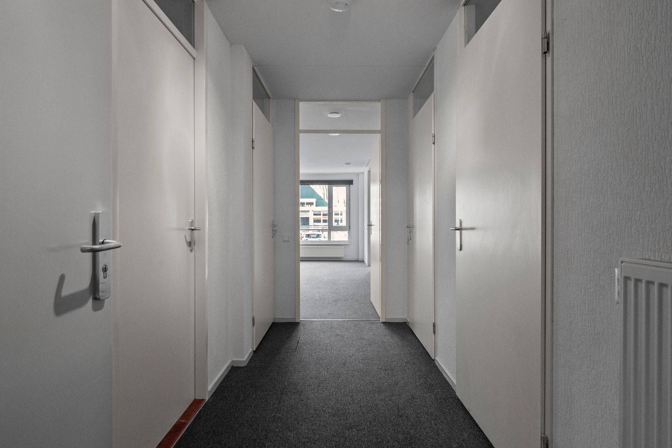 Foto 9 van Drooghe Bol 2004