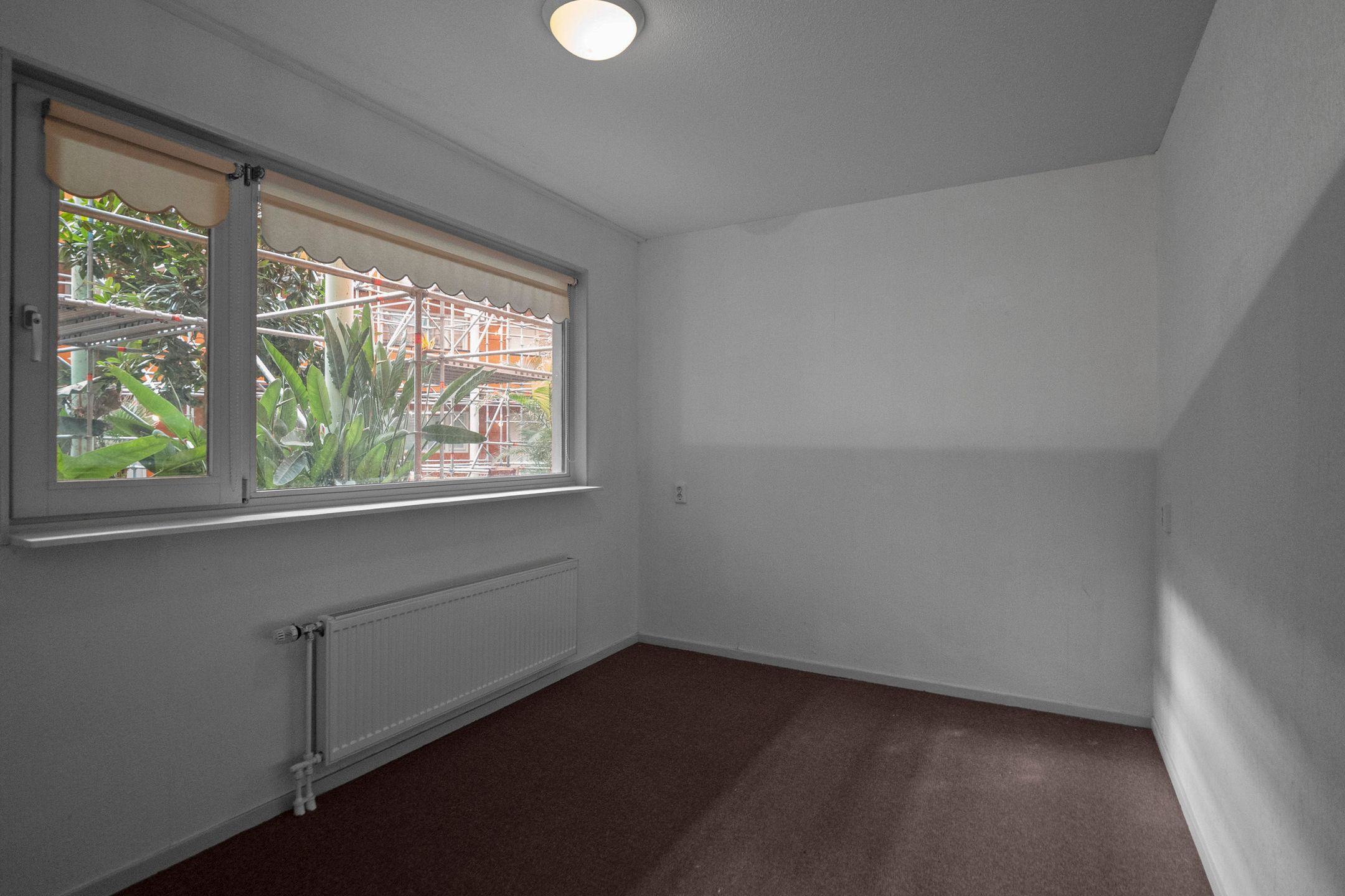 Foto 18 van Drooghe Bol 2004