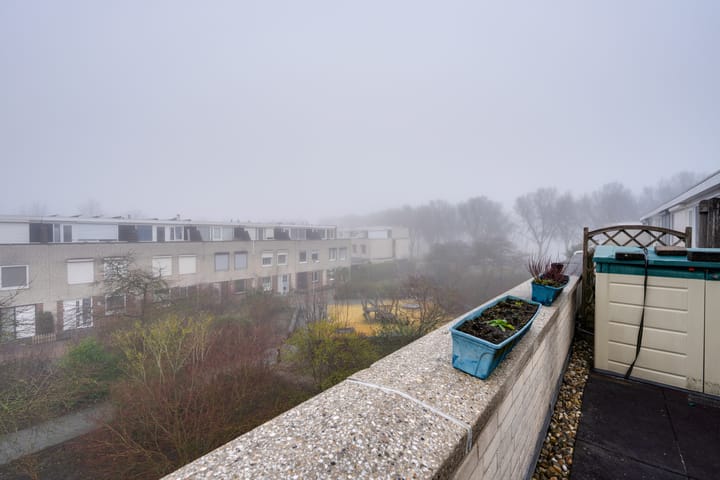 Photo 49 of Vrijheidsplantsoen 29