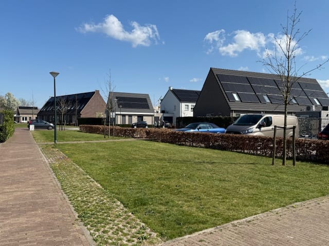 Foto 6 van Aardpeer 8