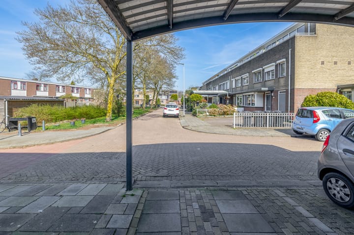 Foto 7 van Damhertstraat 70