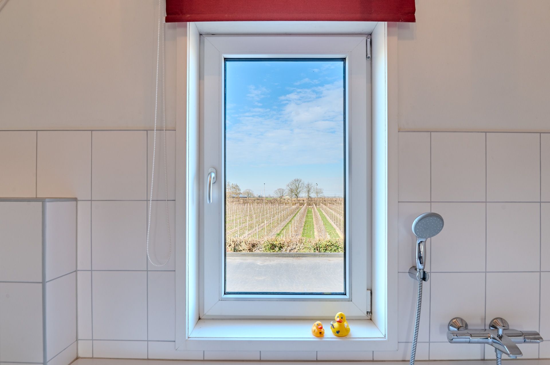 Photo 30 of Groenedijk 13