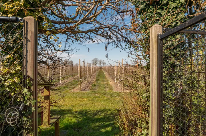 Foto 42 van Groenedijk 13