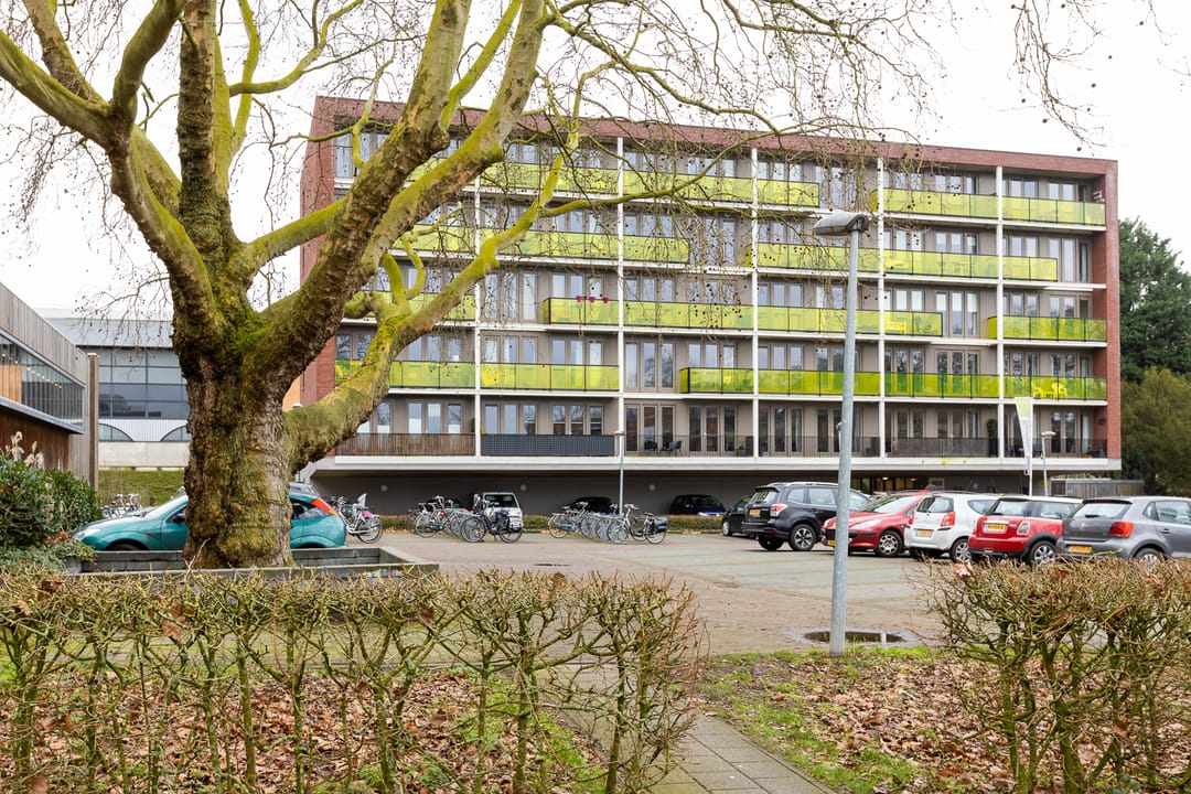 Photo 1 of Plataanlaan 15