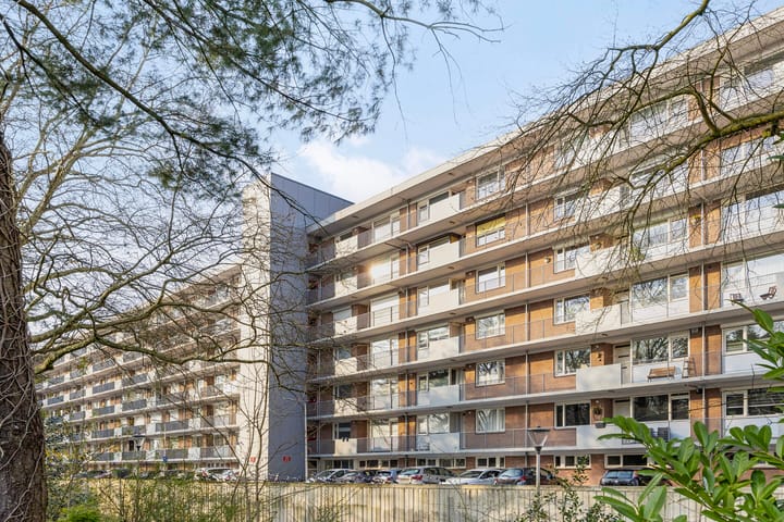 Foto 2 van Cederstraat 143