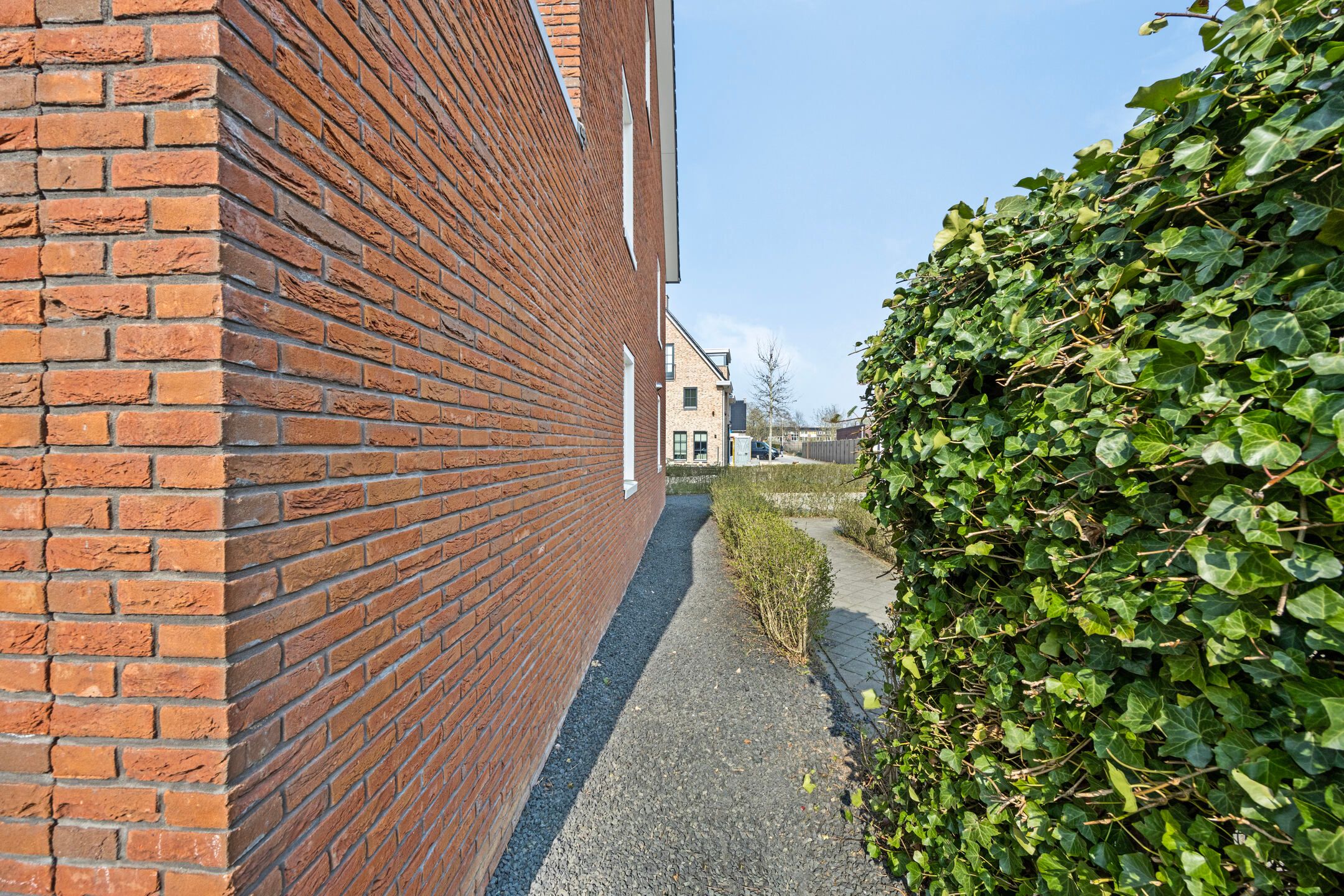 Foto 27 van Limes 73