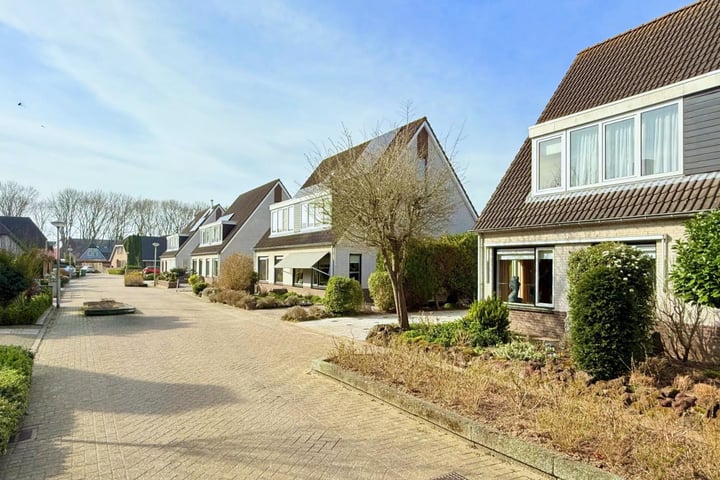 Photo 4 of Goudvink 28