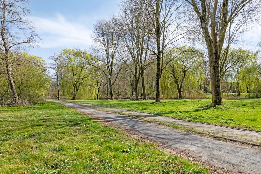 Photo 31 of Gildemark 68