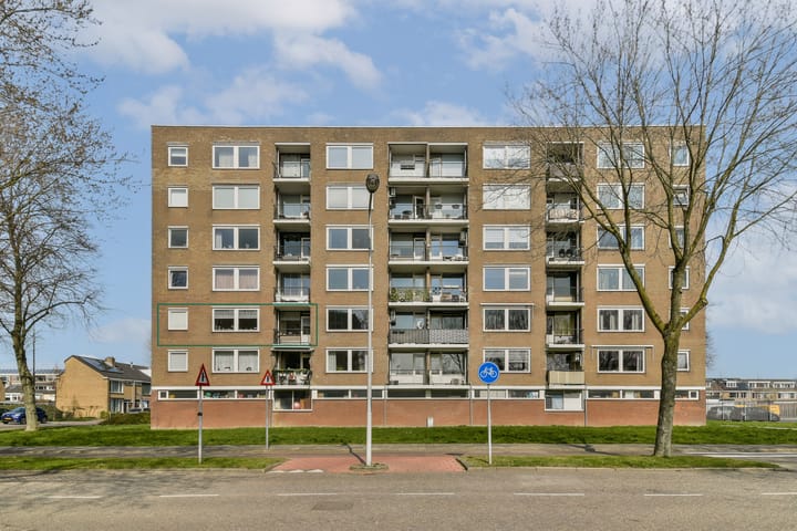 Jacob van Ruysdaelstraat 10