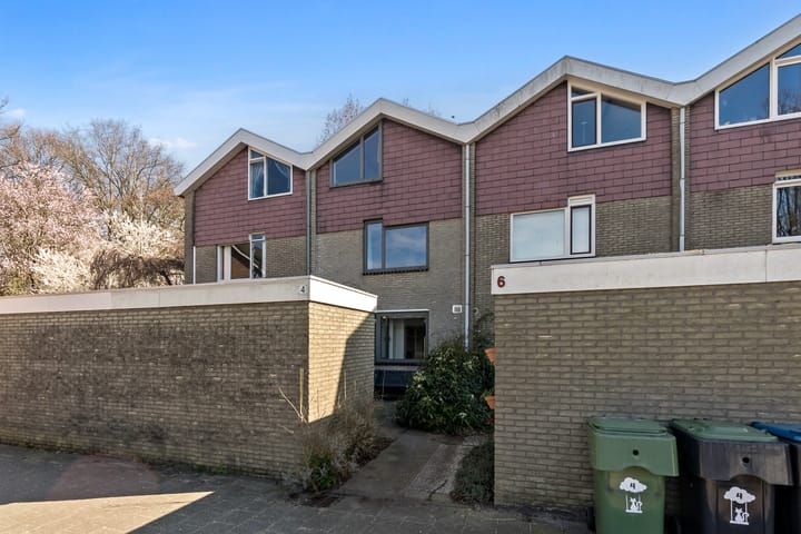 Foto 5 van Wollegras 4