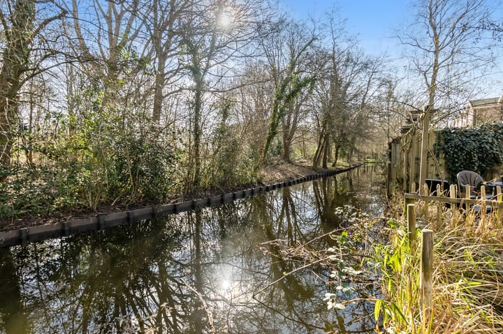 Foto 30 van Wollegras 4