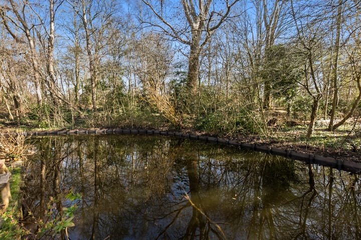 Foto 31 van Wollegras 4