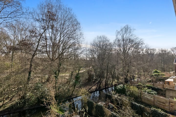 Foto 49 van Wollegras 4