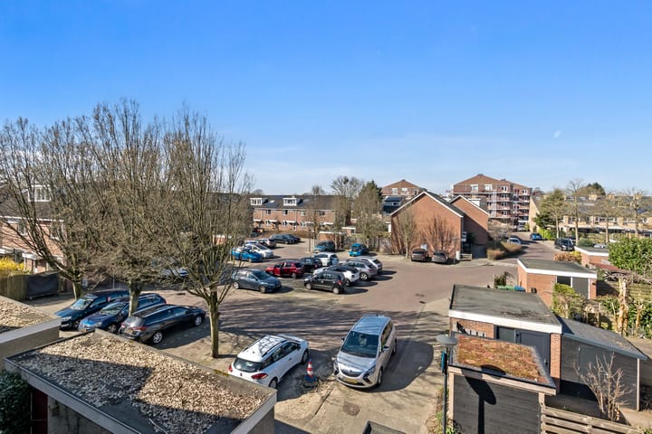 Foto 60 van Wollegras 4