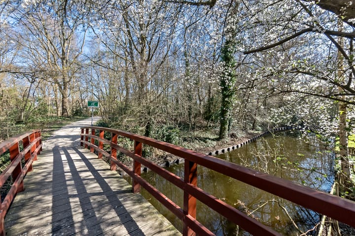 Foto 64 van Wollegras 4