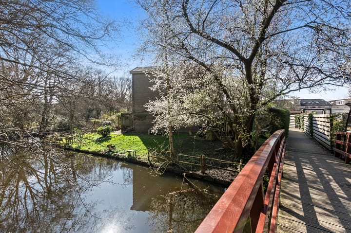 Foto 65 van Wollegras 4