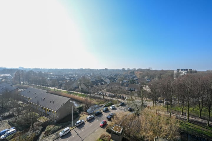 Foto 23 van Forellendaal 484