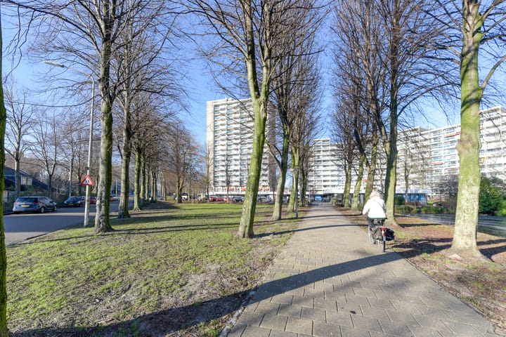 Foto 35 van Forellendaal 484