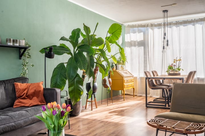 Foto 17 van Berkelstraat 24