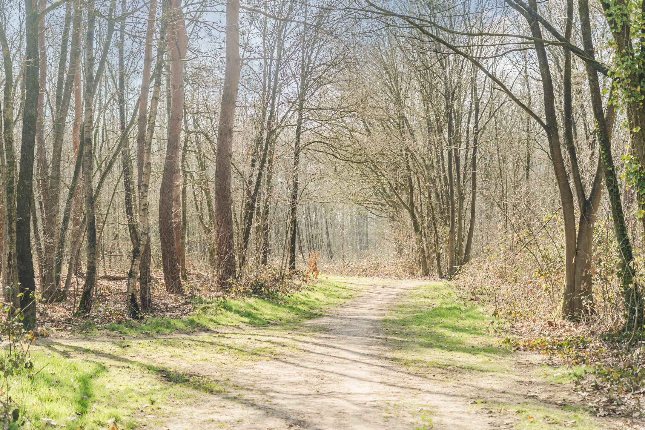 Foto 39 van Prinsenweg 22-0219