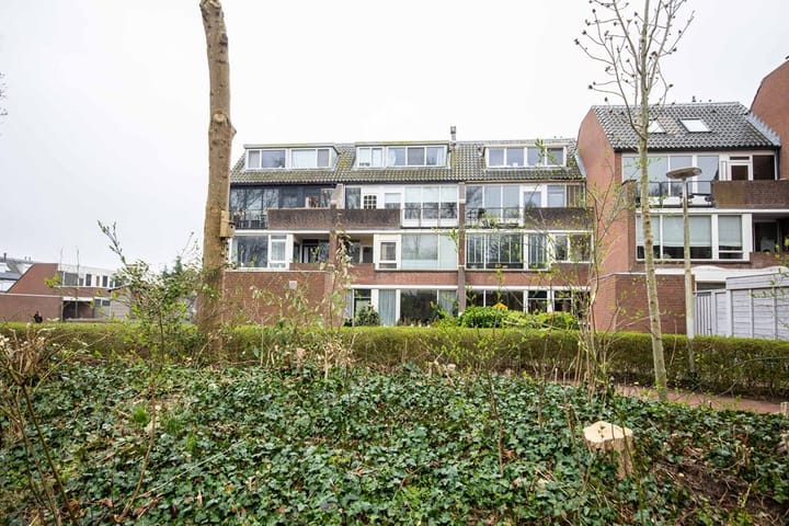 Foto 16 van Pallas 40