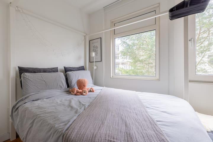 Foto 14 van Vrolikstraat 419-B