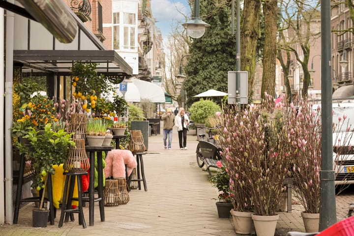 Foto 50 van Paulus Potterstraat 24-B