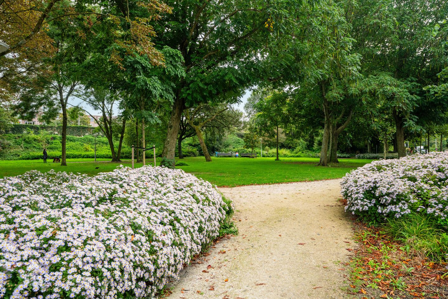 Photo 44 of Marcusstraat 97