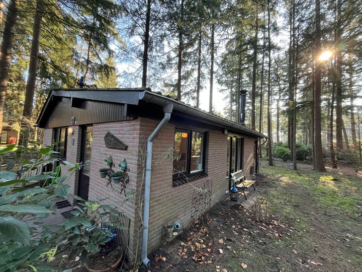 Photo 23 of Hogeveldsweg 26-323