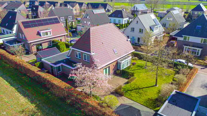 Foto 2 van Groenling 3