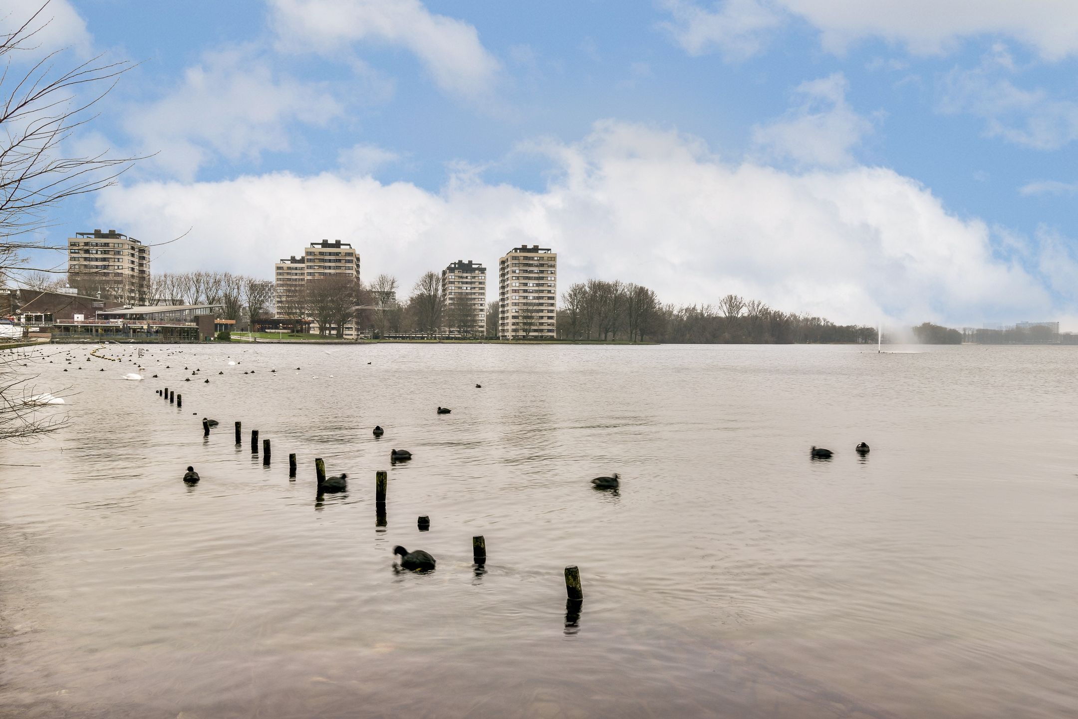 Foto 27 van S. F. van Ossstraat 176