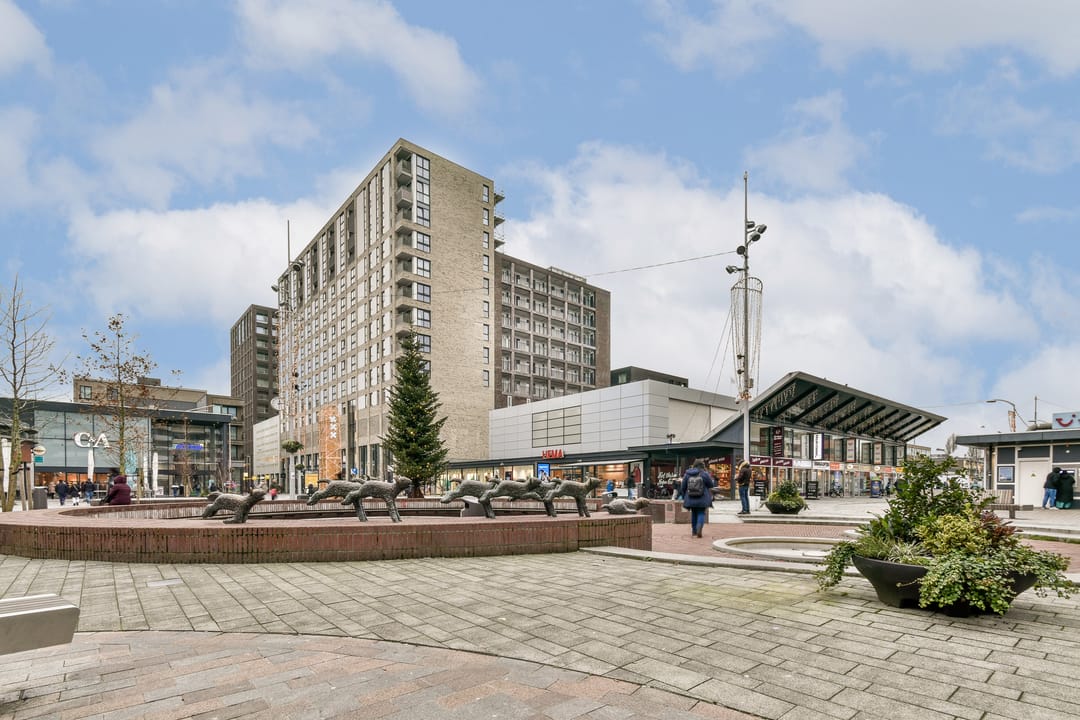 Foto 28 van S. F. van Ossstraat 176