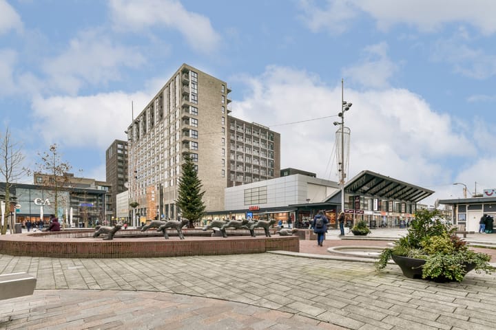 Foto 28 van S. F. van Ossstraat 176